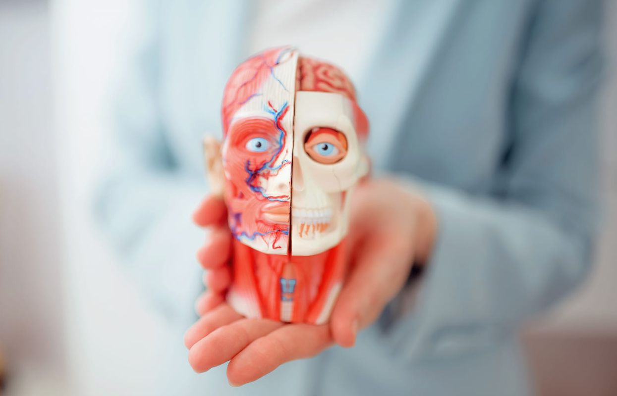 Деформационная 3D анатомия