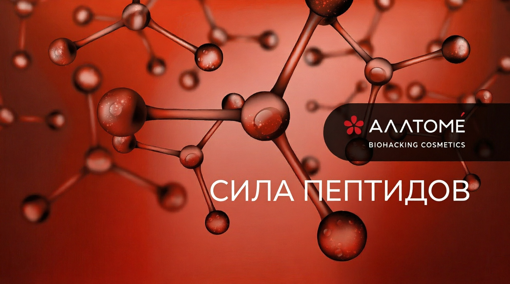 изображение Сила пептидов: от теории молекул к ощутимому результату на коже